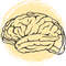 <strong>Cognitive Clarity Boost</strong>